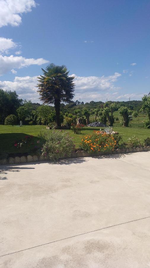 La Ardina Celorio *